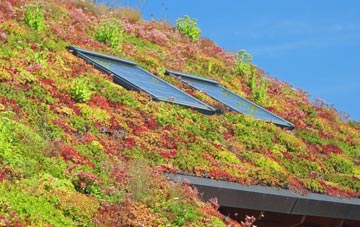 Montacute living roof systems